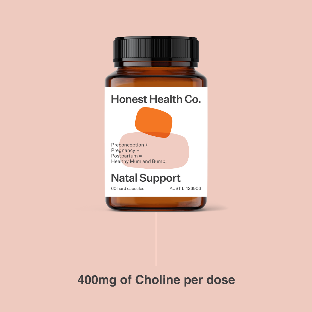 The Crucial Role of Choline in Preconception, Pregnancy, and Post-Partum Health